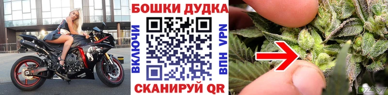 Продажа наркотиков Бакал mega   Псилоцибиновые грибы  Альфа ПВП  ГАШ  Мефедрон  Cocaine 