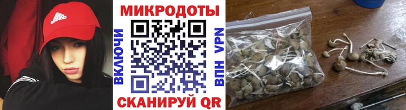 Галлюциногенные грибы GOLDEN TEACHER  маркетплейс наркотические препараты  Бакал 